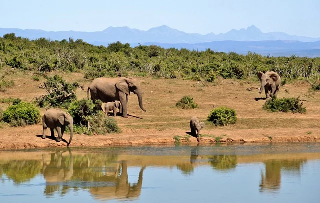 sri-lanka-wildlife-tour.webp