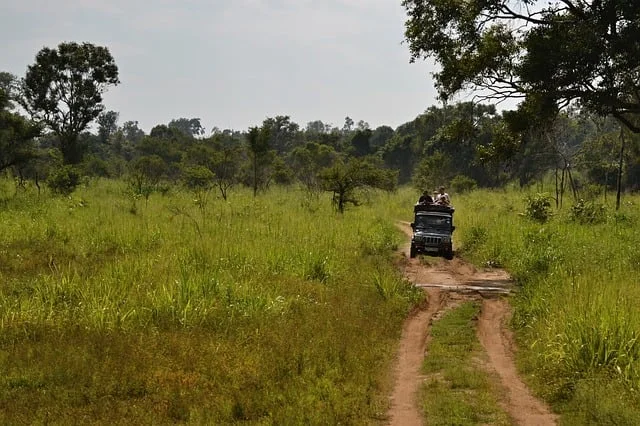 sri-lanka-wildlife-tour-packages.webp
